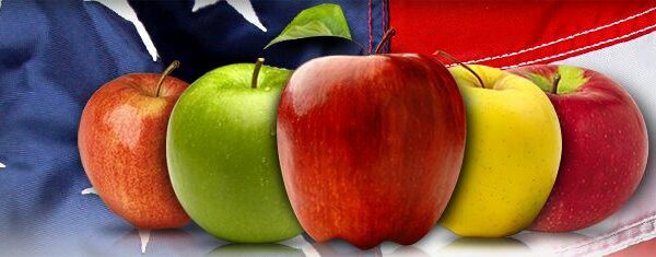 Made in the USA, cooking and baking with pottery