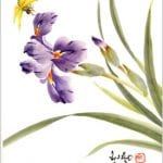 japsumi