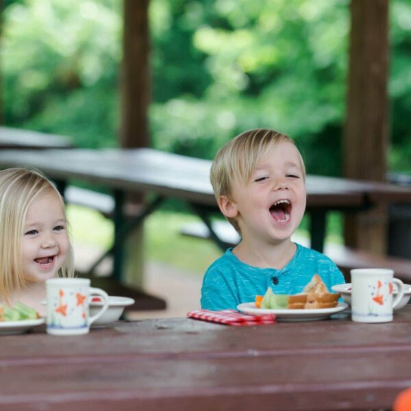 Goldfish Child's Dish Set