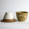 Dogwood African Violet Pot 2