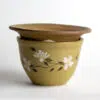 Dogwood African Violet Pot