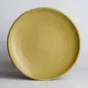 Go Green Earthware Coupe Dinner Plate