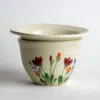 Red Poppy African Violet Pot