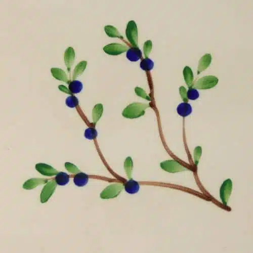 Blueberry