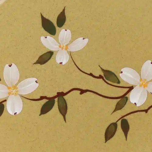 Dogwood
