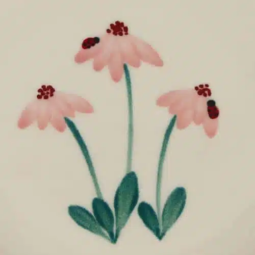 Ladybug