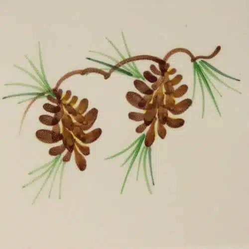 Pinecone