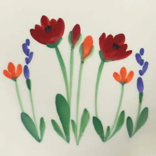 Red Poppy
