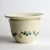 african-violet-pots
