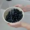 Blueberry Berry Colander