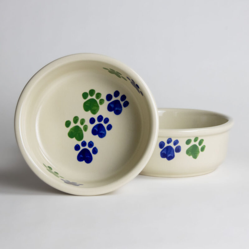 Large Cool Walking Paws Set