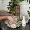 Hands holding Blueberry Classic Dinnerware, coasters and drizzle bottle with fruit and house plants.
