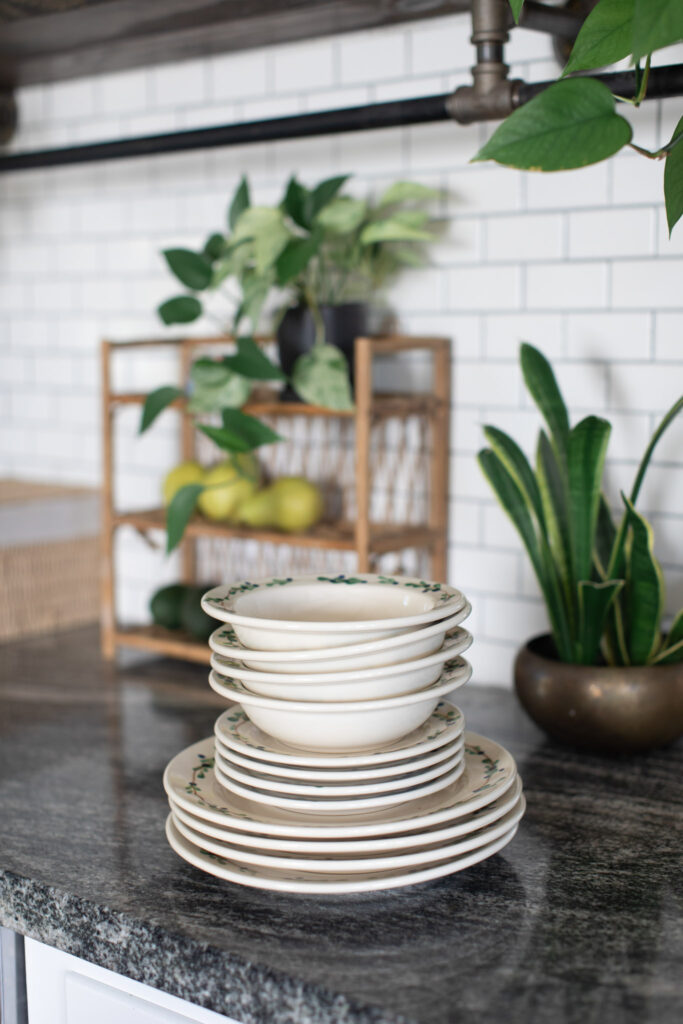Blueberry Classic Dinnerware with fruit and house plants.