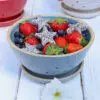 Brookline Berry Bowls - Aga Bodes